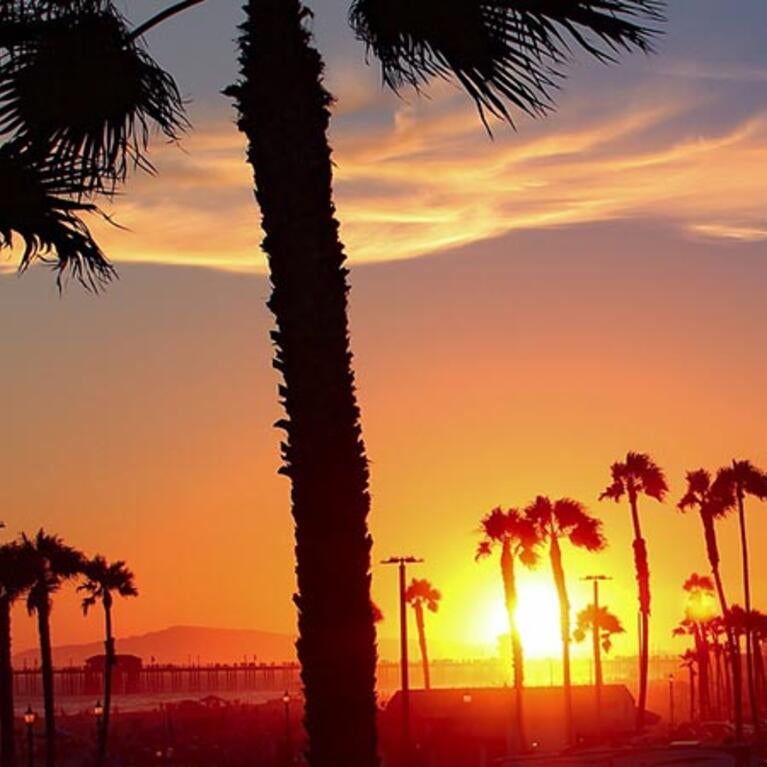 California beach sunset with palm trees