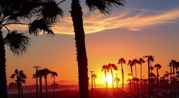 California beach sunset with palm trees