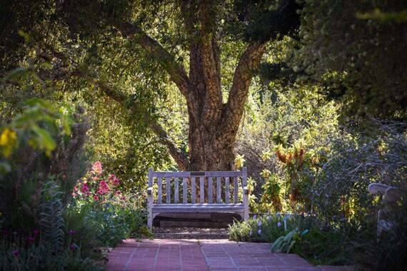 Botanical Gardens Bench