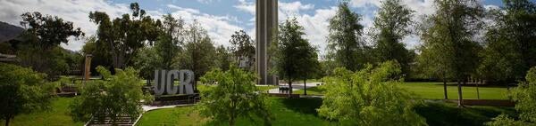 UC Riverside Bell Tower and green trees
