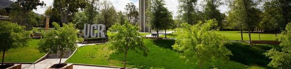  University of California, Riverside - The bell tower