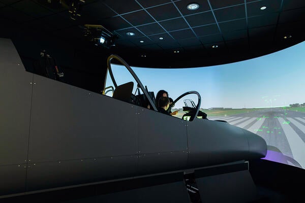 Flight simulator