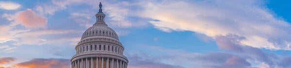 Capitol in Washington