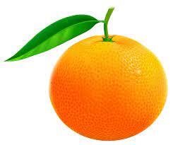 Orange fruit