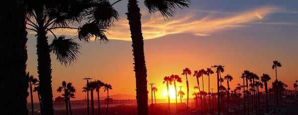 California beach sunset with palm trees