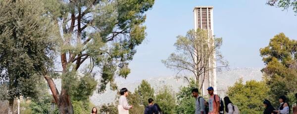 UC Riverside bell tower