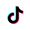 TikTok icon