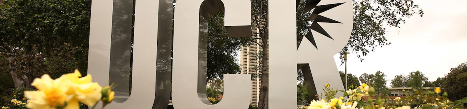 UCR sign (c) UCR/Stan Lim